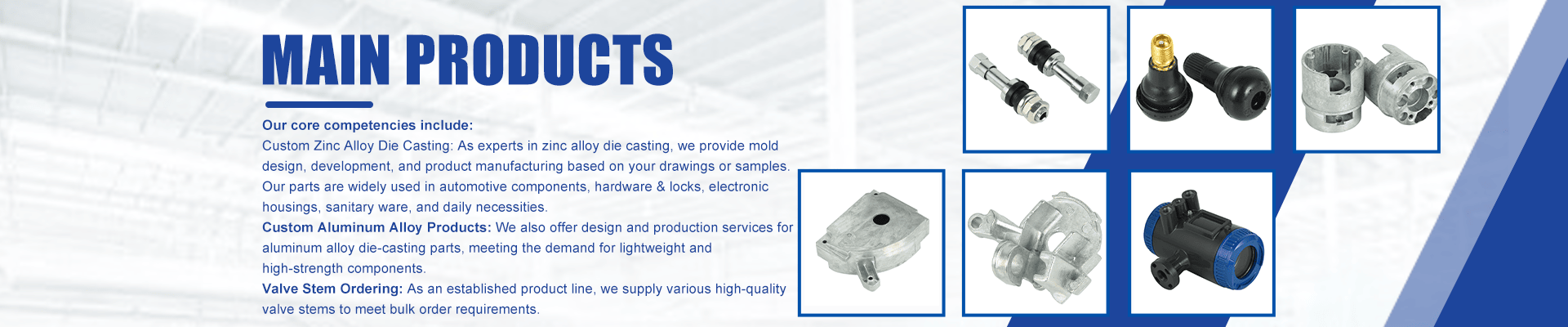 Main products banner